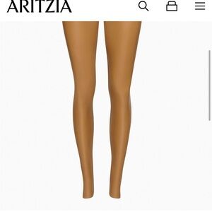 Aritzia Wilfred Free Daria pant in brown
